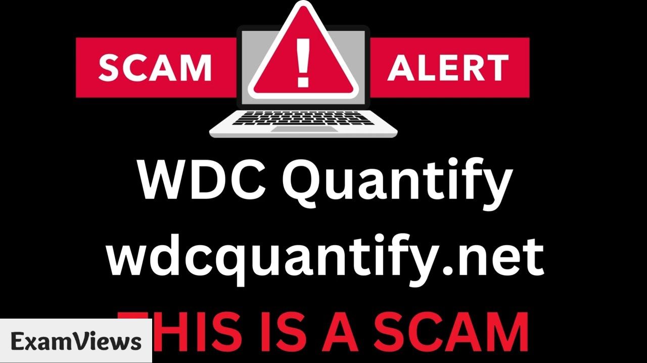 WDC Quantify Real or Fake