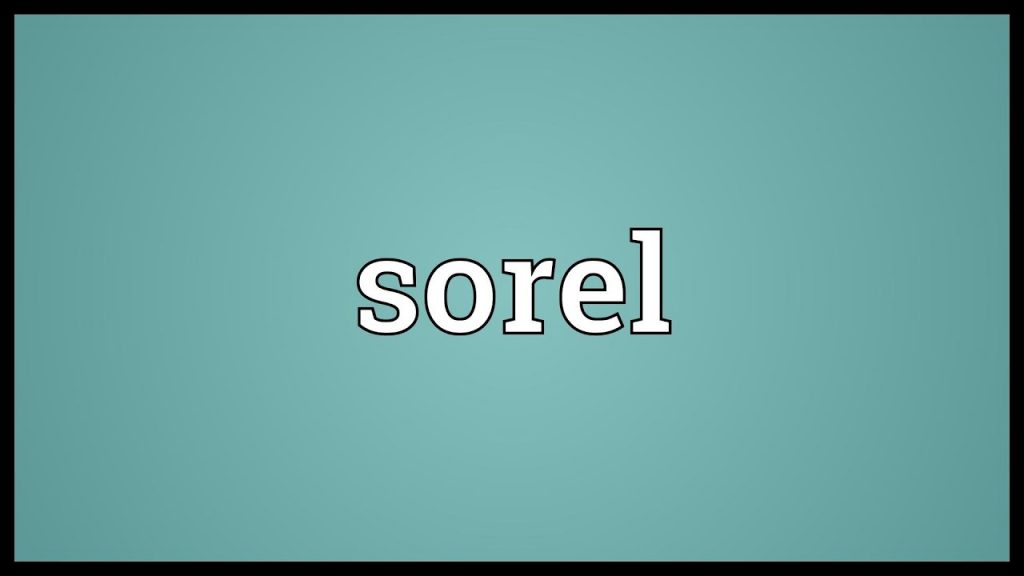 Sorel Wordle