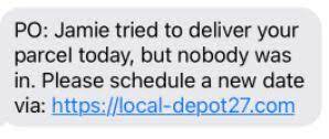 Local Depot 41 Scam Text