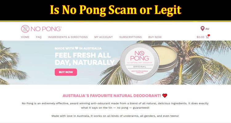 Is No Pong Scam Or Legit