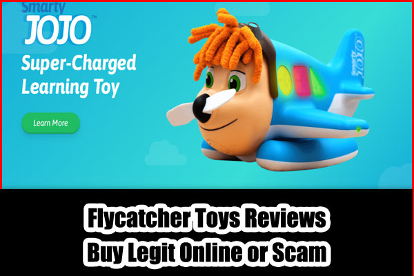 Flycatcher Toys Reviews