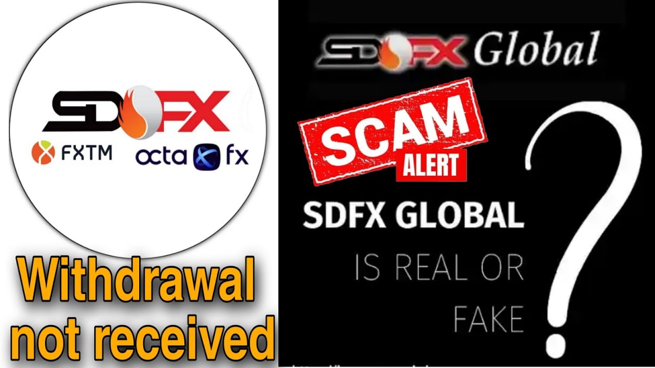 SDFX Global Is Real Or Fake