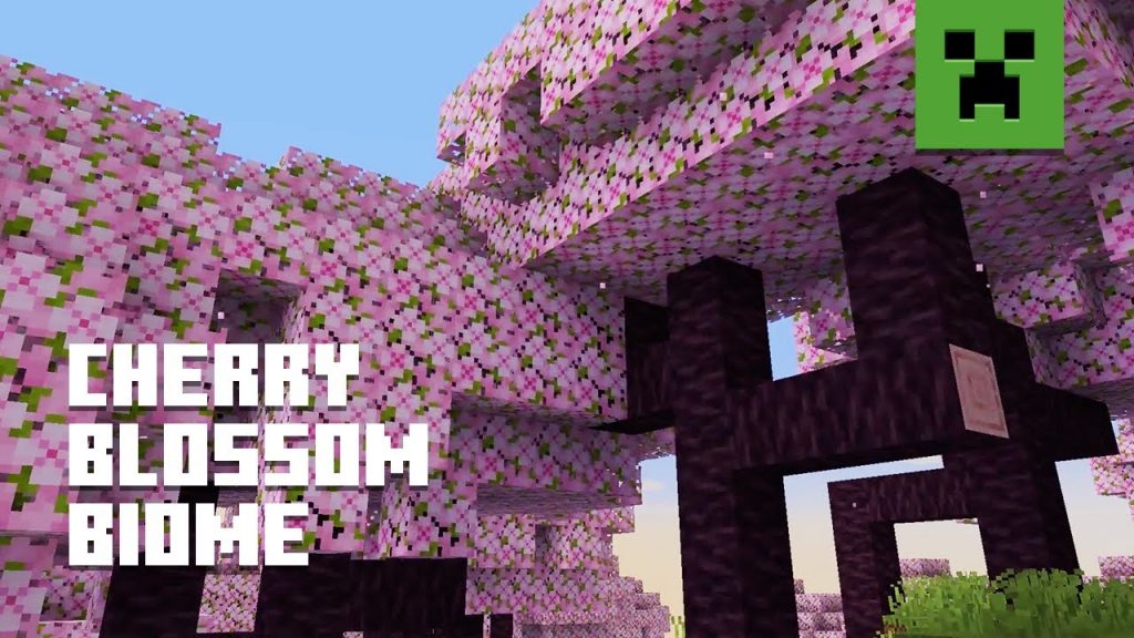 Cherry Blossom Biome Minecraft