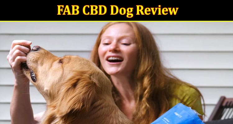 Fab Cbd Dog Treats Review 
