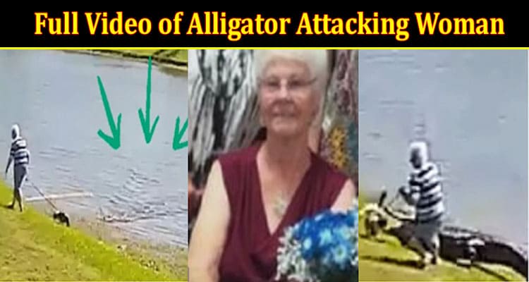 Full Video of Alligator Attacking Woman