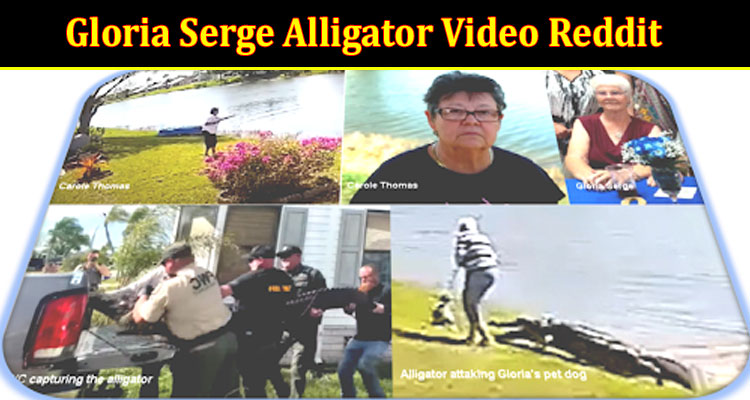 Gloria Serge Alligator Video Reddit