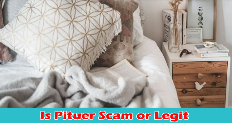 IS PITUER SCAM OR LEGIT