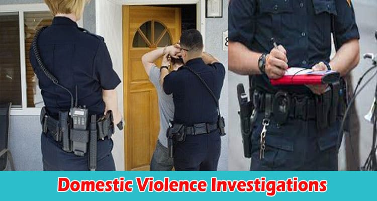Domestic Violence Investigations