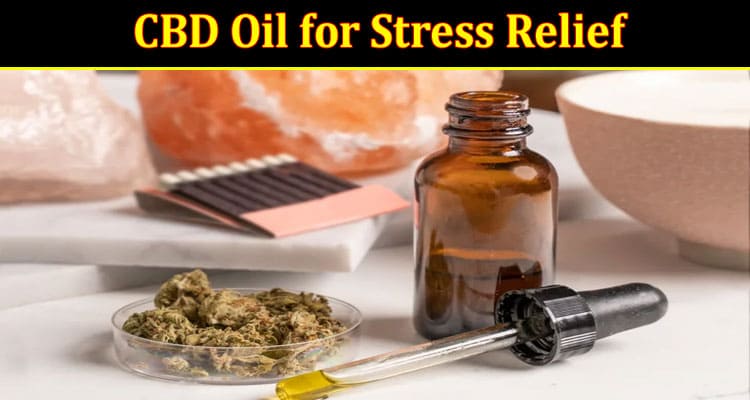 Should You Try CBD Oil for Stress Relief